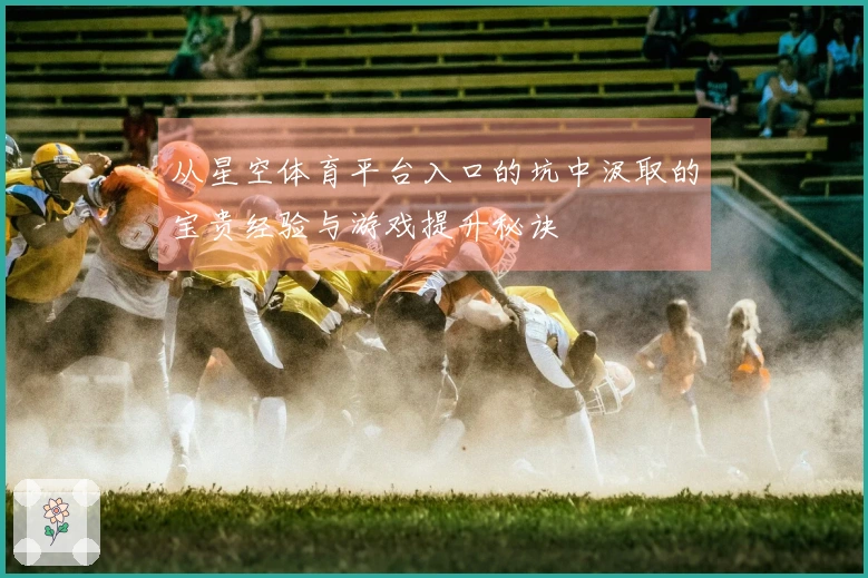 从星空体育平台入口的坑中汲取的宝贵经验与游戏提升秘诀